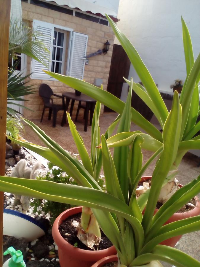 Solo Adultos, Las Tuneras Rooms La Oliva Exterior foto